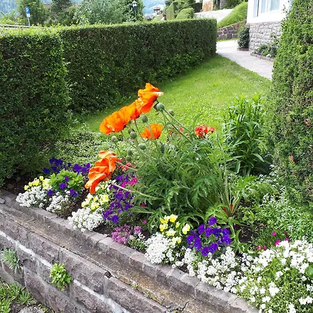 Apartments Vernel Daire *